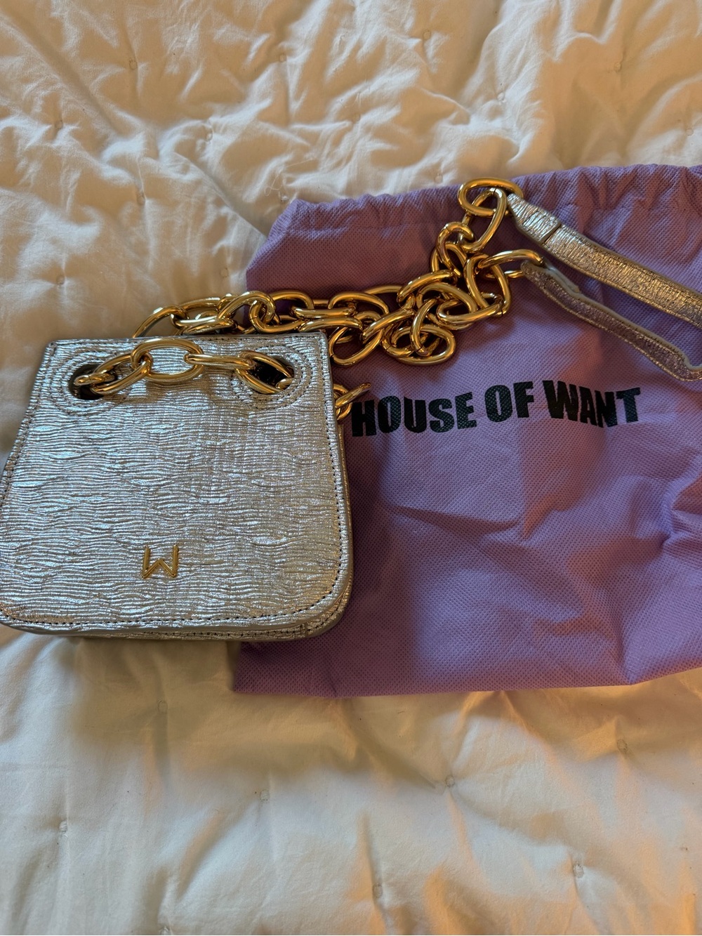 House of Want Silver Mini Chain Crossbody Bag
